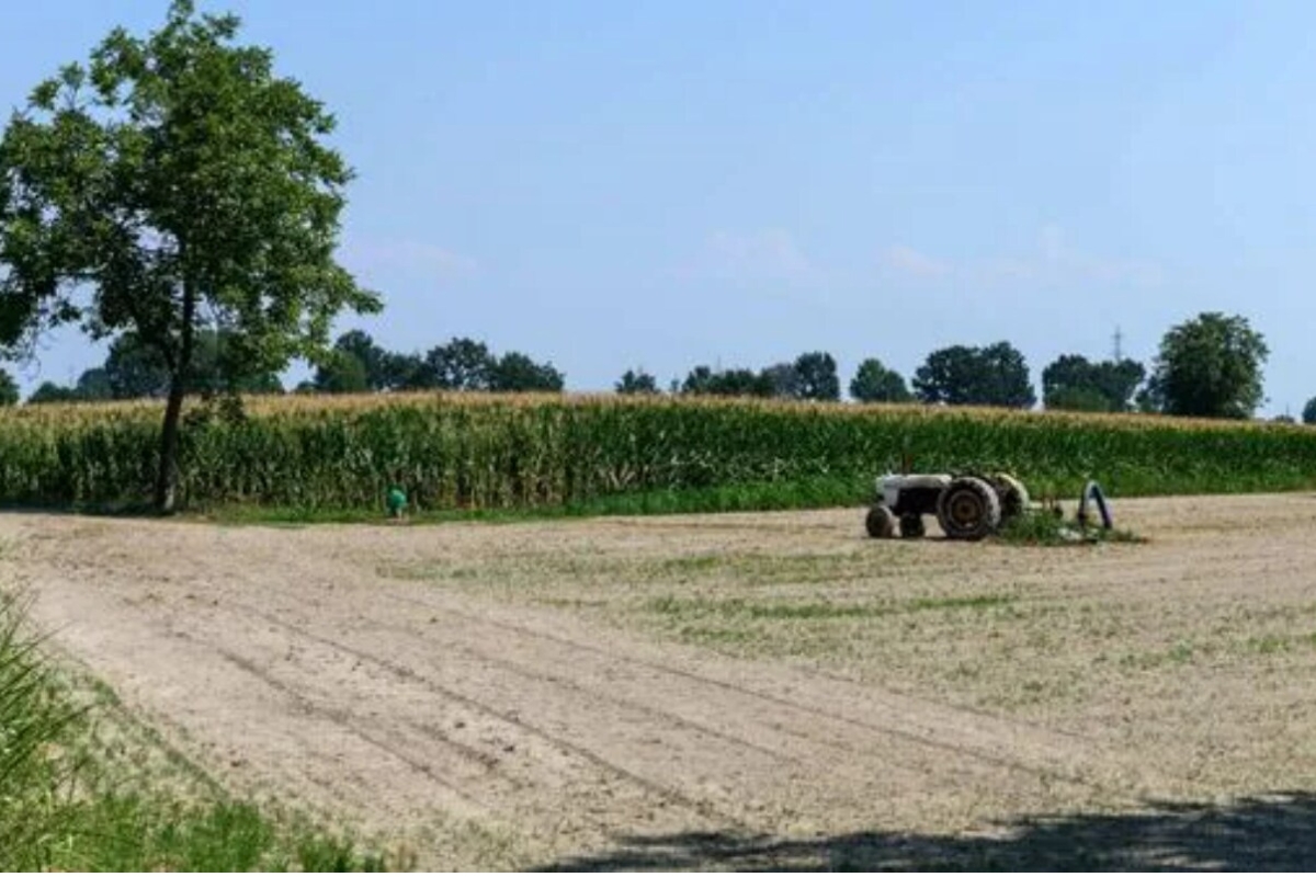 Income Tax on Selling Agricultural Land: What You Must Know
