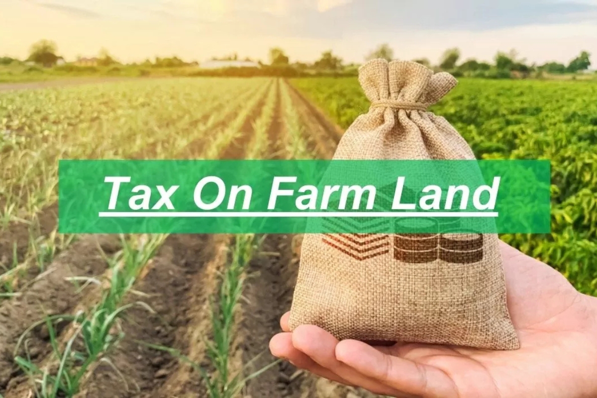Income Tax on Selling Agricultural Land: What You Must Know